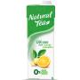 Chá Verde com Laranja e Gengibre Natural Tea Zero Açúcar 1L
