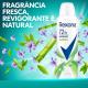Desodorante Rexona Feminino Bamboo 150ml - Imagem 7791293032498--5-.jpg em miniatúra