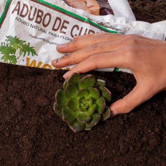 Adubo de Curral 2 Kg Premium West Garden - Imagem em destaque