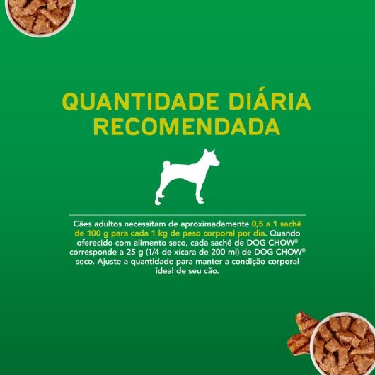 Ração Úmida DOG CHOW Cães Adultos Carne 100g - Imagem em destaque