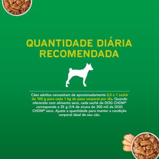 NESTLÉ® PURINA® DOG CHOW® ExtraLife® Ração Úmida para Cães Adultos de Todos os Tamanhos Peru 100g - Imagem em destaque