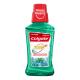 Enxaguante Bucal Colgate Total 12 Zero Álcool Hálito Saudável 250ml - Imagem 7891024028780_1.jpg em miniatúra