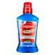 Enxaguante Bucal Antibacteriano Zero Álcool Clean Mint Colgate Total 12 Frasco 500ml - Imagem 7891024028018-01.png em miniatúra