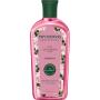Shampoo Lisos Flor de Cerejeira e Açaí Phytoervas 250ml