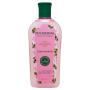 Condicionador Lisos Flor de Cerejeira e Açaí Phytoervas 250ml