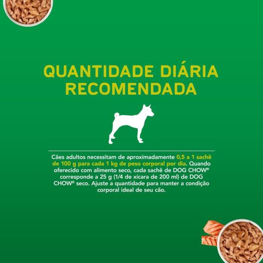 Alimento Cães adulto salmão Dog Chow sache 100g - Imagem em destaque