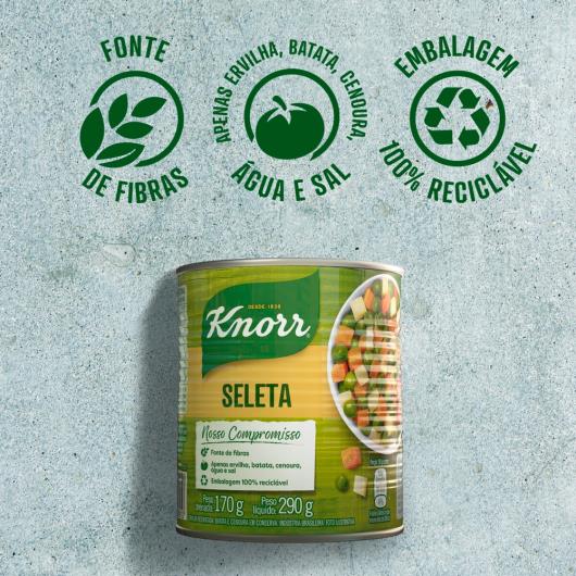 Seleta conserva Knorr lata 170g - Imagem em destaque