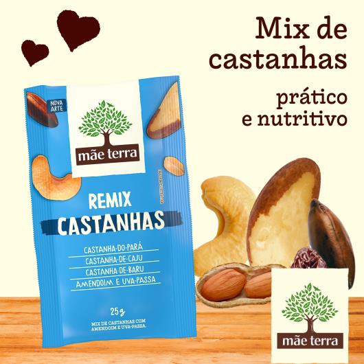 Mix de Castanhas Mãe Terra Remix Castanhas Brasileiras 25g - Imagem em destaque