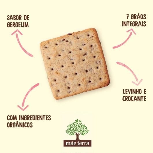 Biscoito Cracker Mãe Terra Gergelim Orgânico 130g - Imagem em destaque