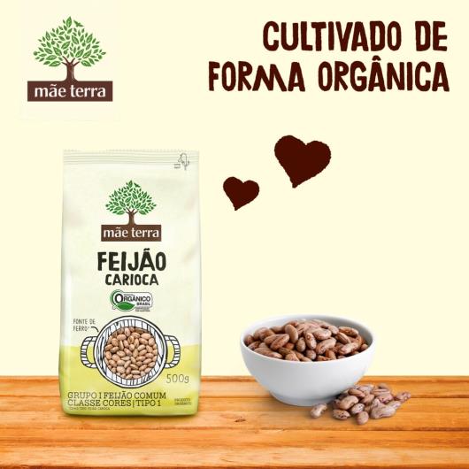 Feijão Carioca Mãe Terra Orgânico 500g - Imagem em destaque