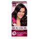 Tinta de Cabelo Biocolor Mini Kit Marrom Escuro da Moda 4.7 - Imagem 1000030145.jpg em miniatúra