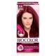 Tinta de Cabelo Biocolor Mini Kit Vermelho Intenso Queridinho 6.6 - Imagem 1000030160.jpg em miniatúra