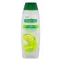 Shampoo Palmolive Naturals Detox Energizante Frasco 350ml
