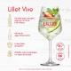 Aperitivo Lillet Blanc de Vinho Francês 750 ml - Imagem 3057230000253-5-.jpg em miniatúra