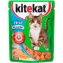 Alimento para gatos KiteKat adulto sabor peixe ao molho 70g