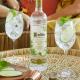 Vodka Ketel One Botanical Cucumber & Mint 750ml - Imagem 85156875009-(3).jpg em miniatúra