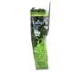 Cheiro verde salsa Caisp