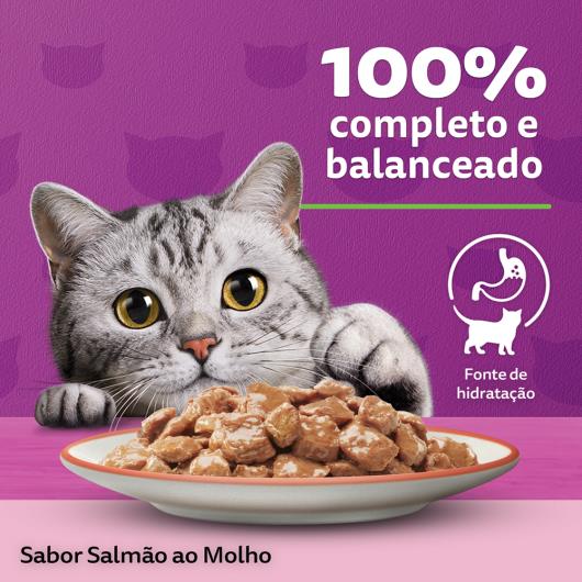 Alimento para Gatos Adultos Salmão ao Molho Whiskas Sachê 85g - Imagem em destaque