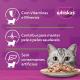 Alimento para Gatos Adultos Frango ao Molho Whiskas Sachê 85g - Imagem 7896029046173-02.png em miniatúra