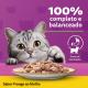 Alimento para Gatos Adultos Frango ao Molho Whiskas Sachê 85g - Imagem 7896029046173-03.png em miniatúra