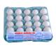 Ovos brancos extra Satoshi PVC 20 unidades - Imagem 4c45a815-3ac5-4d04-a008-13cd6ae3726c.JPG em miniatúra