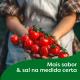 Caldo Tablete Legumes Knorr Mais Sabor Caixa 57g 6 Unidades - Imagem 7894000000268_6.jpg em miniatúra