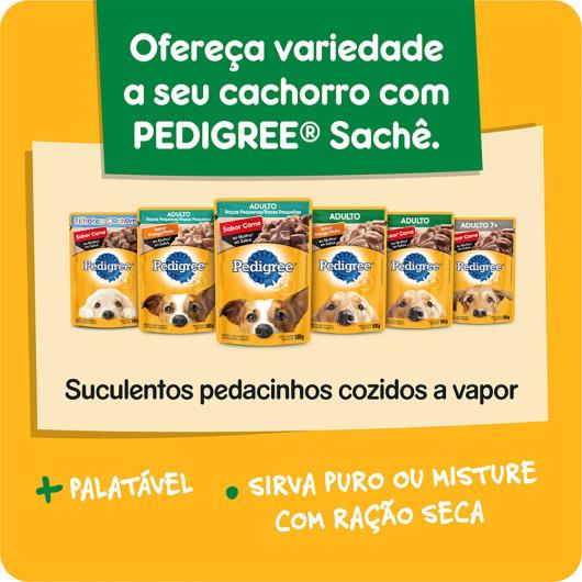 Alimento para Cães Adultos Raças Médias e Grandes Carne e Vegetais Pedigree 1kg - Imagem em destaque