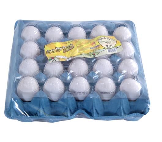 Ovos branco tipo grande caixa com Katayama 20 unidades - Imagem em destaque
