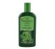Shampoo Farmaervas de jaborandi 320ml - Imagem 595367cd-58a7-44c0-ac66-138d21e709a2.JPG em miniatúra