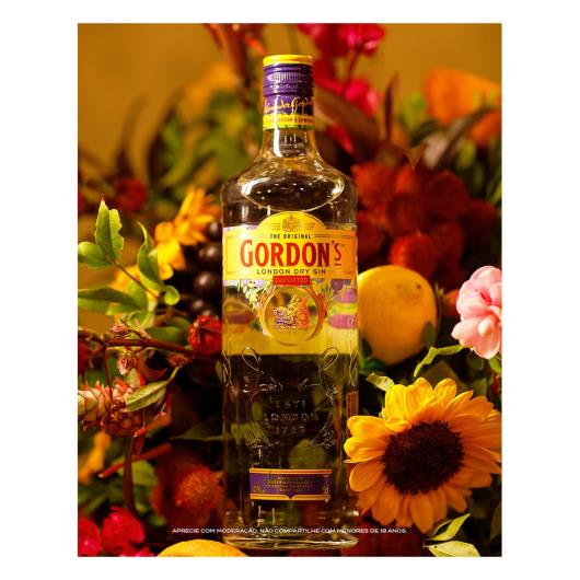 Gin Gordon's London Dry 750ml - Imagem em destaque