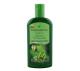 Shampoo Farmaervas jaborandi pró-vitamina B5 320ml - Imagem 914f2dce-05dc-419b-aadc-cc54613e6104.JPG em miniatúra