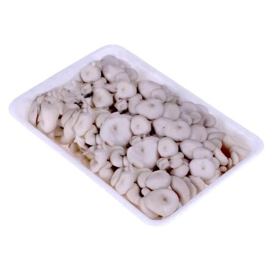 Cogumelo Shimeji Branco Caisp 200g - Imagem em destaque