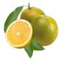 Laranja pera 1kg