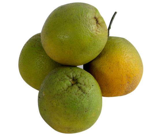 Laranja seleta 1kg - Imagem em destaque