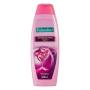 Shampoo Palmolive Naturals Ceramidas Force Frasco 350ml
