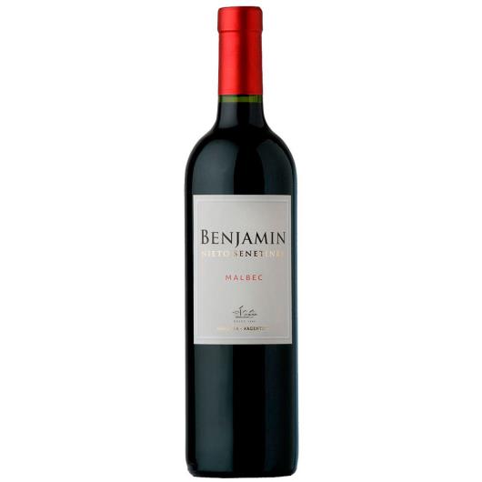 Vinho Argentino Benjamin Malbec Tinto 750ml - Imagem em destaque