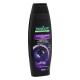 Shampoo Palmolive Naturals Iluminador Pretos Frasco 350ml - Imagem 7891024158609-02.png em miniatúra