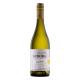 Vinho Aurora Chardonnay Branco 750ml - Imagem 1000008155.jpg em miniatúra