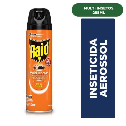 Inseticida Raid Multi-insetos Spray 300ml - Imagem em destaque