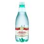 Água São Lourenço mineral com gás 510ml