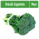 Brócolis Suguimoto maço - Imagem NovoProjeto-27-.jpg em miniatúra