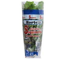 Hortelã