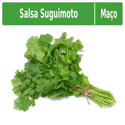 Salsa Suguimoto maço - Imagem em destaque
