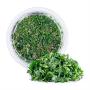 Salsa Picada Vegepack 70g
