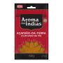 Açafrão da Terra Aroma das Índias 60g