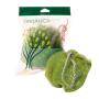 Esponja Orgânica Sponge Bath 1 Unidade