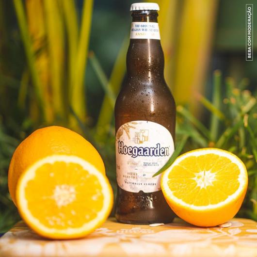 Cerveja de Trigo HOEGAARDEN 330 ML Long Neck - Imagem em destaque