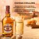Whisky Chivas Regal 12 anos Escocês 750 ml - Imagem 80432400395_5.jpg em miniatúra